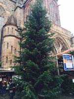 14 Meter Nordmann-Edeltanne am Nürnberger Christkindlesmarkt 14 Meter Nordmann-Edeltanne am Nürnberger Christkindlesmarkt