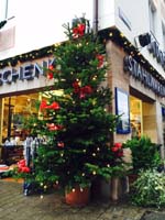 2 Meter Nordmanntanne im Topf in der Nürnberger Altstadt 2 Meter Nordmanntanne im Topf in der Nürnberger Altstadt