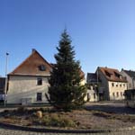 10 Meter Nordmanntanne in Herzogenaurach 10 Meter Nordmanntanne in Herzogenaurach